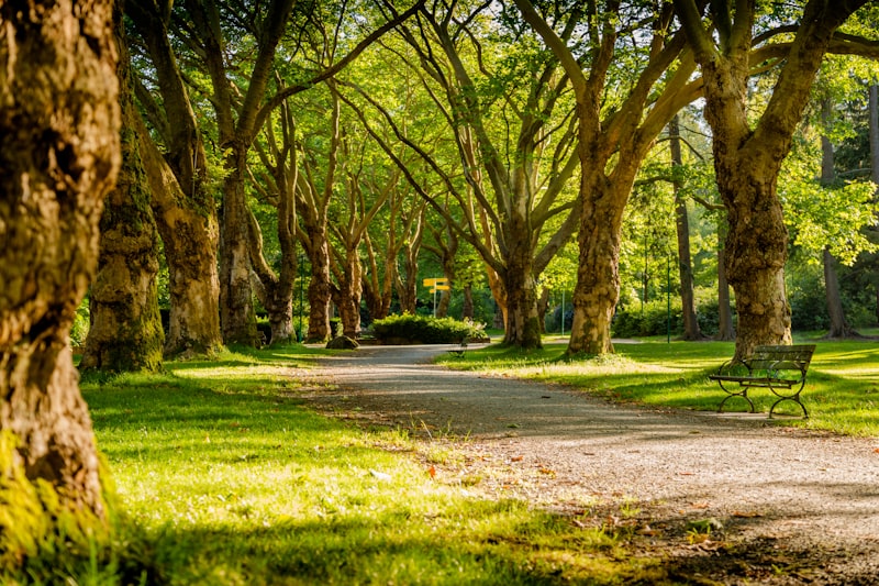 Çocuk Parkları